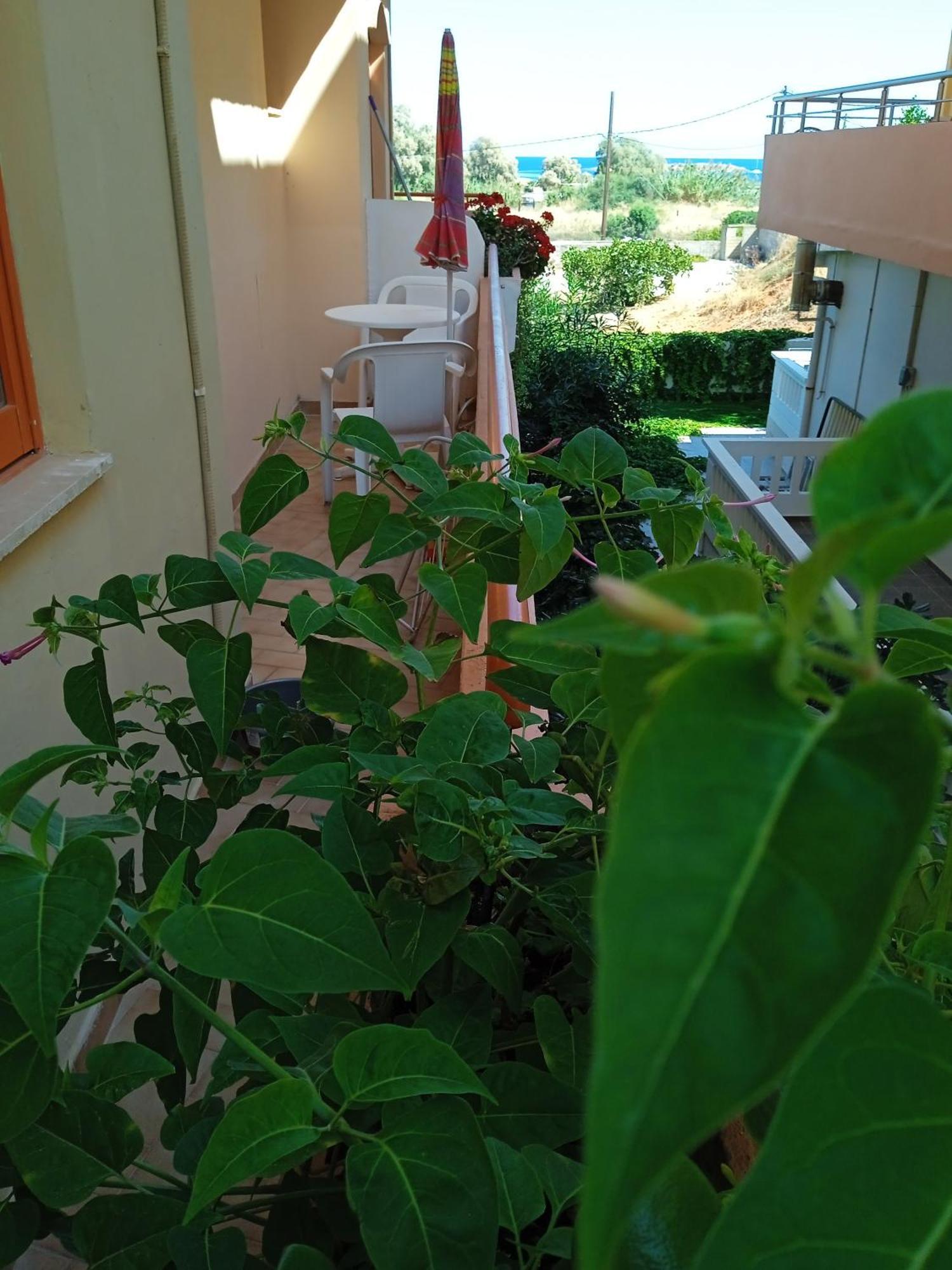 Ilona Apartments Chania Kato Daratso Room photo