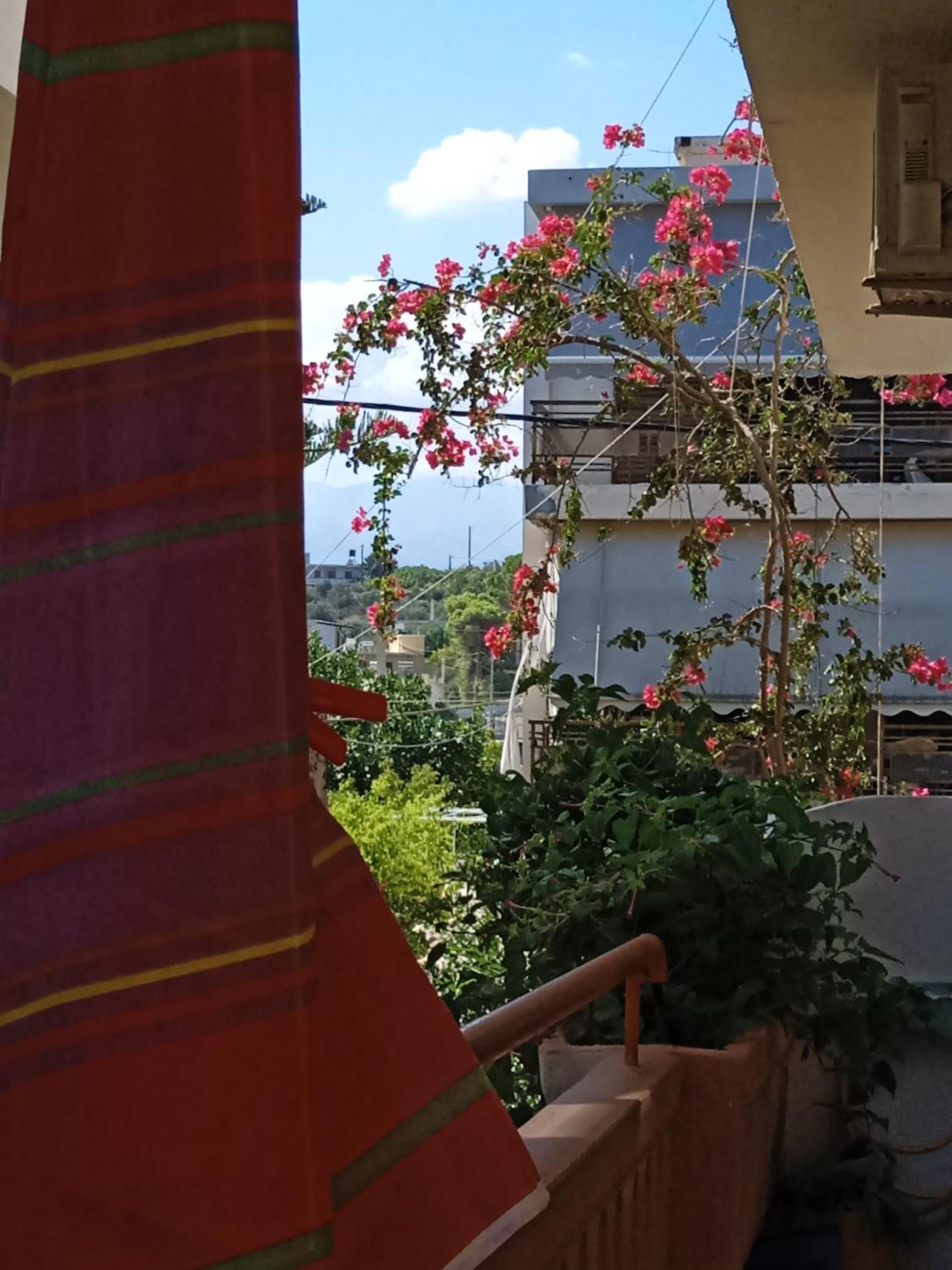 Ilona Apartments Chania Kato Daratso Room photo
