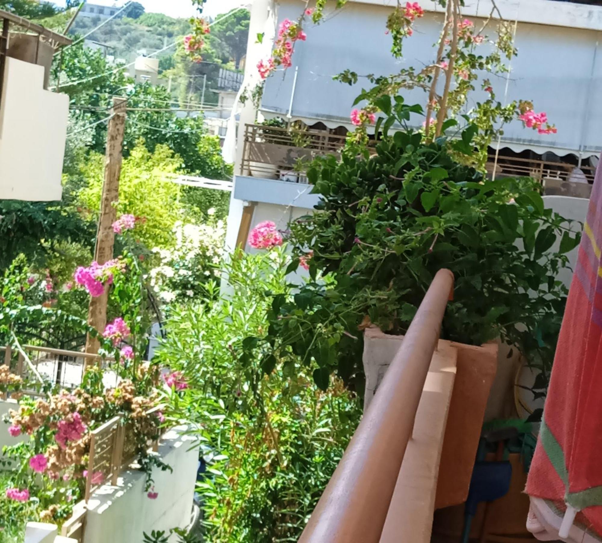 Ilona Apartments Chania Kato Daratso Room photo