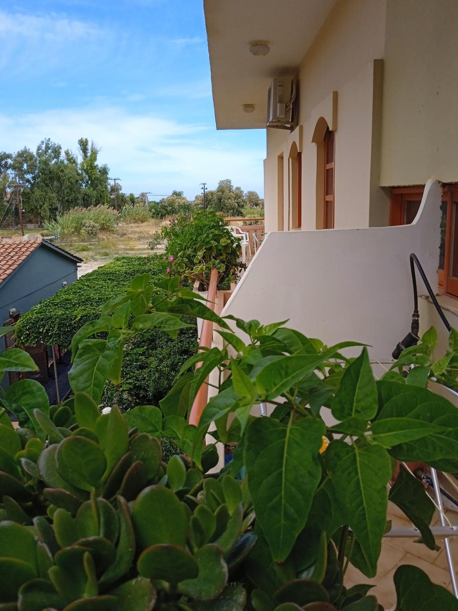 Ilona Apartments Chania Kato Daratso Room photo
